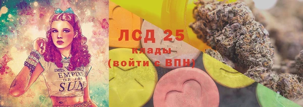 гидра Аркадак