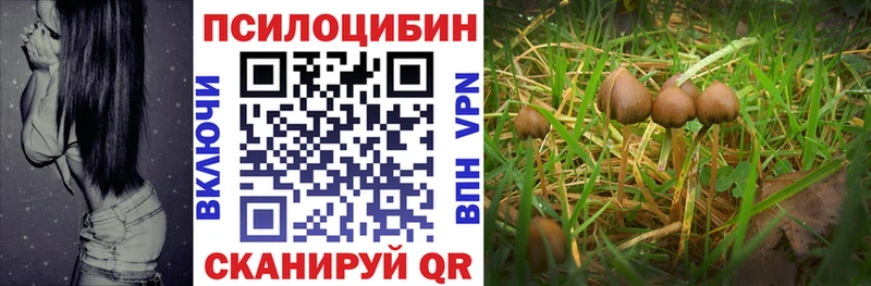 shop Telegram  Балей  Псилоцибиновые грибы MAGIC MUSHROOMS  kraken зеркало 